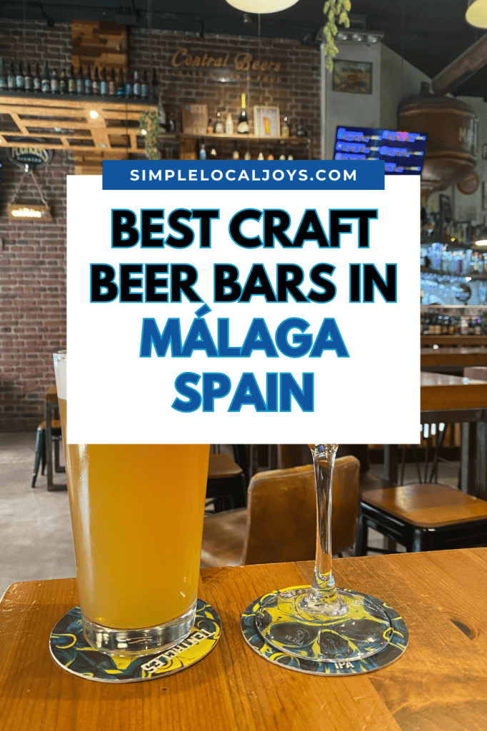 best-craft-beer-bars-in-malaga-spain