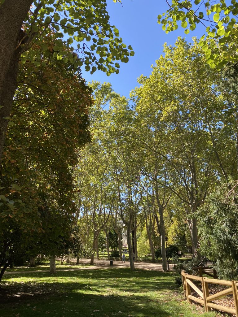 madrid-spain-travel-guide