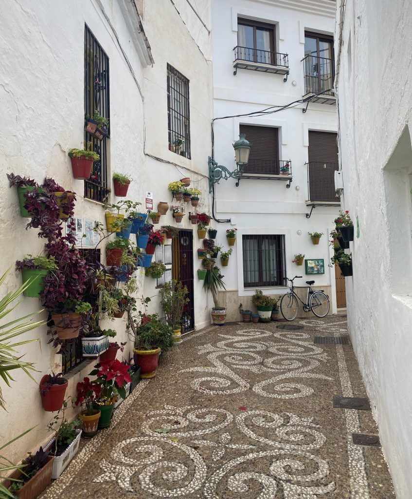 flower-pot-wall-nerja-spain