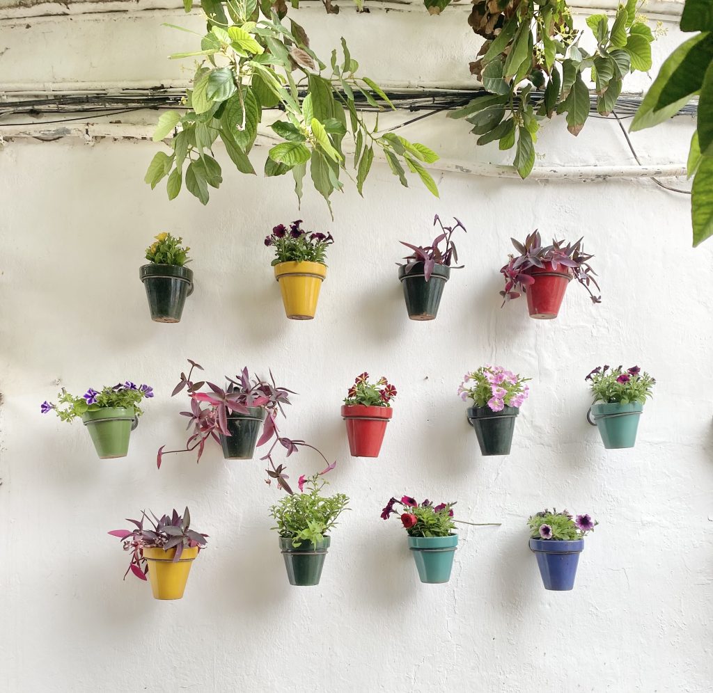 flower-pot-wall-torremolinos-spain