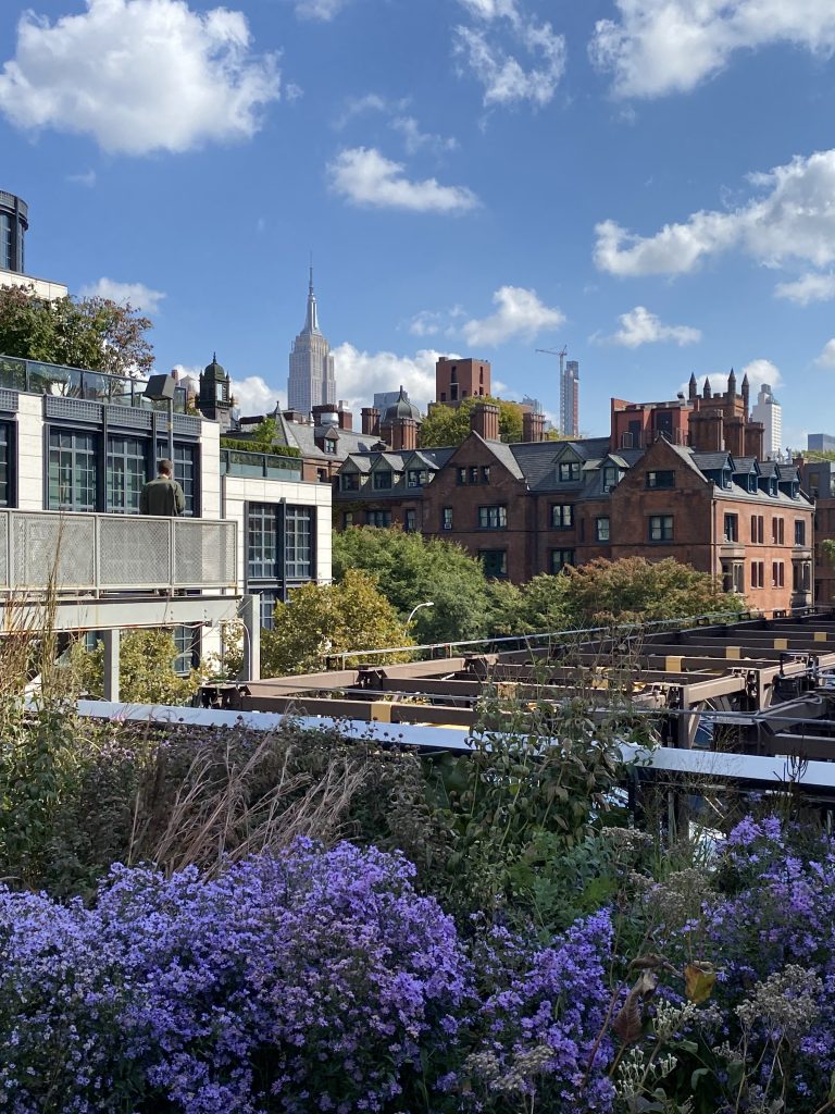 new-york-city-travel-guide