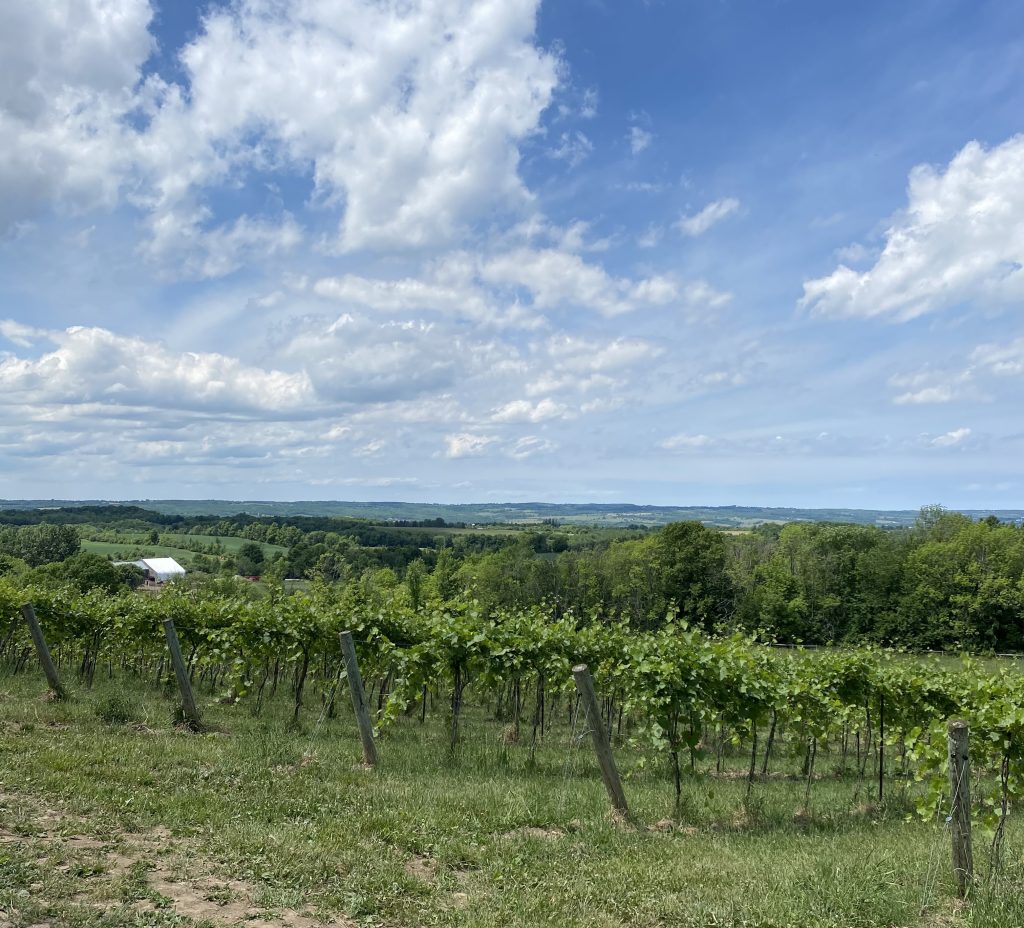 roost-winery-ontario