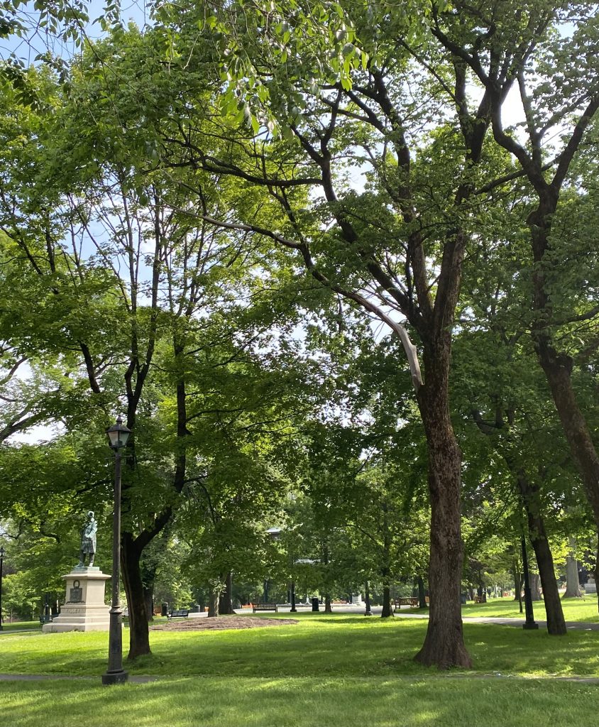 saint-john-nb-parks