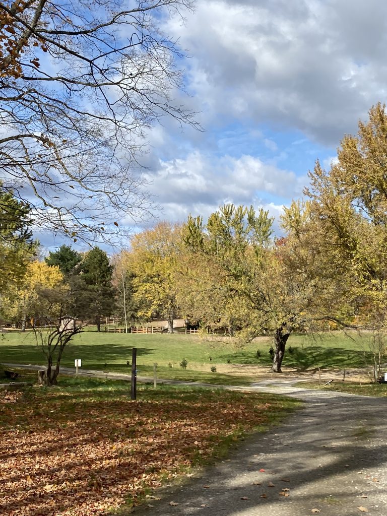 saugeen-bluffs-horse-camping
