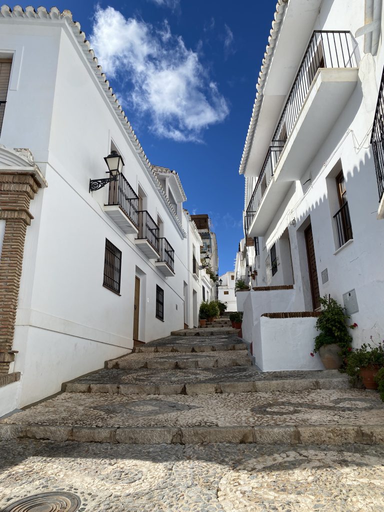 nerja-frigiliana-bus-tour