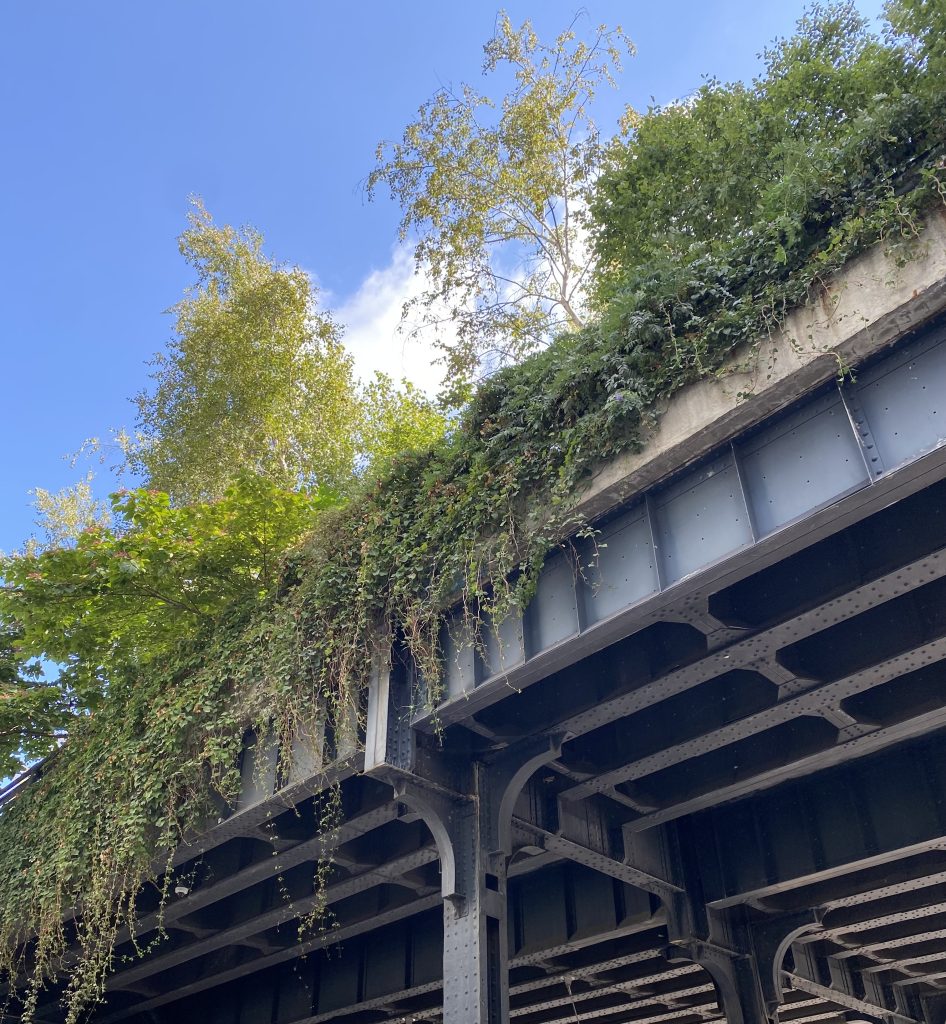 the-high-line-nyc