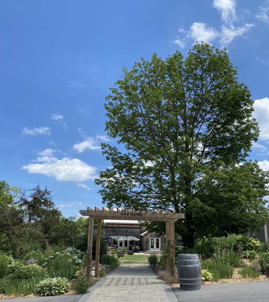 the-roost-wine-company