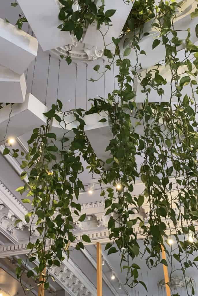 tommy-cafe-montreal