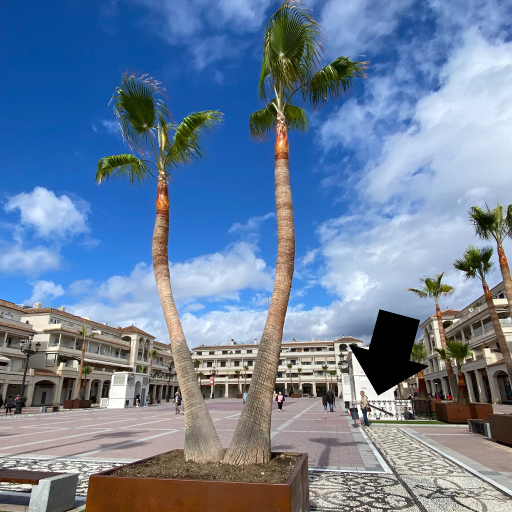 location-of-public-washrooms-nerja-spain
