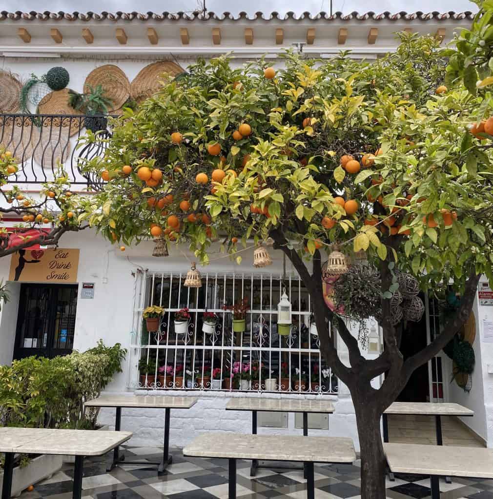 restaurants-in-benalmadena-pueblo-spain