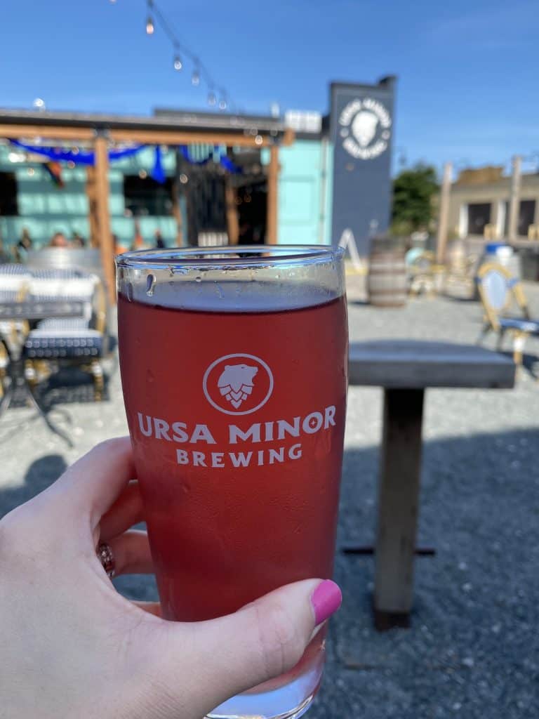 USRA-Minor-Brewing-duluth