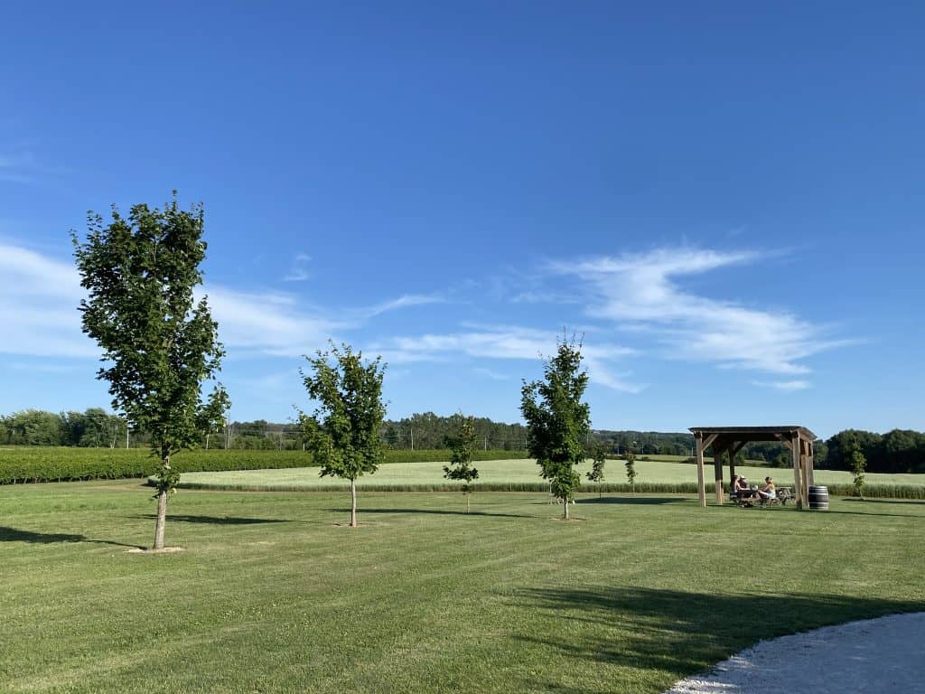georgian-hills-vineyard