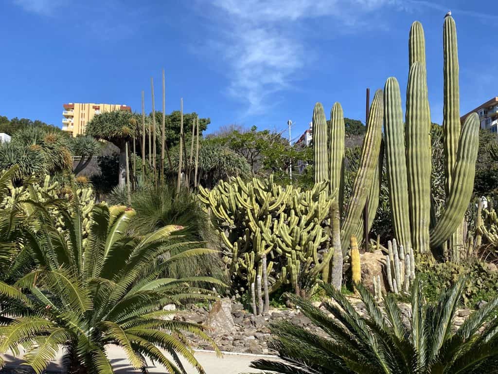 cactus-garden-paloma-park-benalmadena