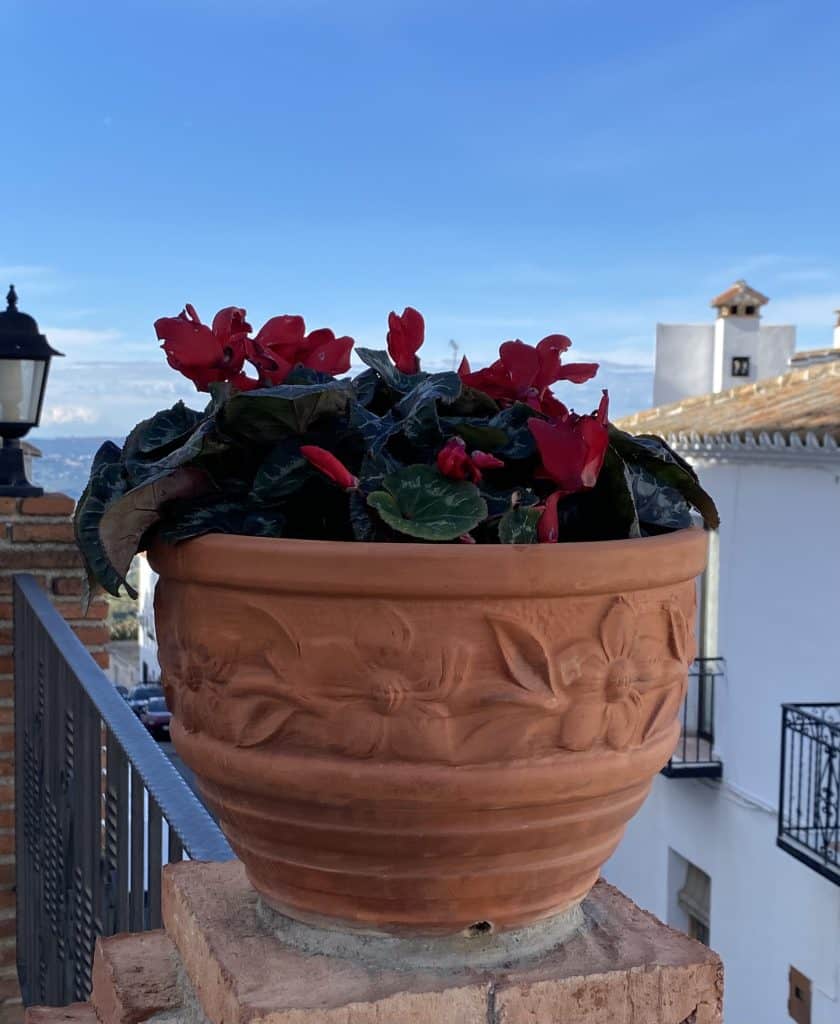 things-you-need-to-see-in-mijas-pueblo