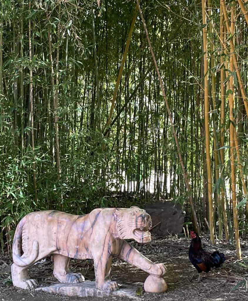 parque-la-paloma-benalmadena-spain