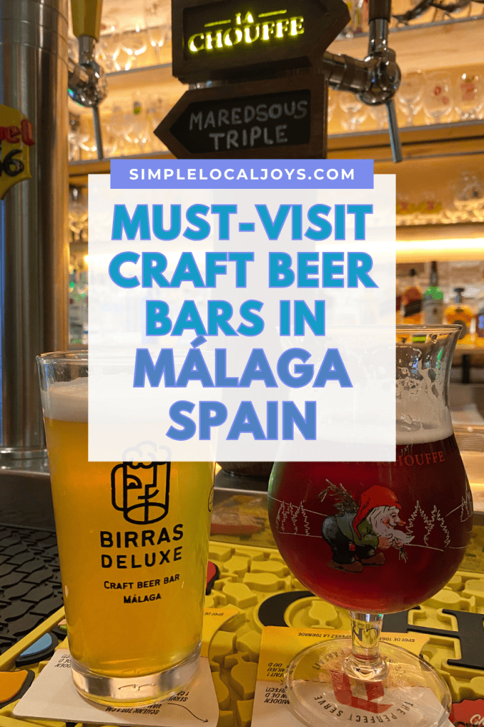 best-craft-beer-bars-malaga-spain