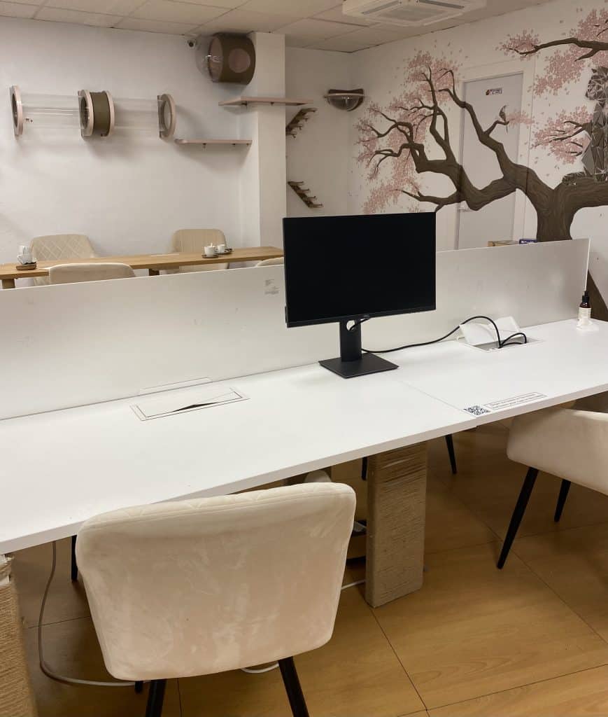 coworking-malaga-spain