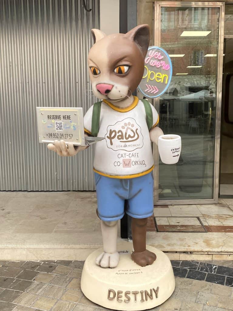 paws-for-a-moment-cat-cafe-malaga-spain